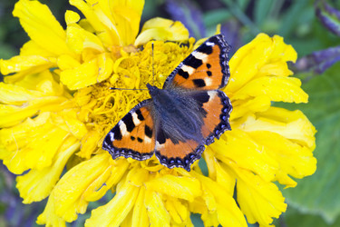 Similar image 570720