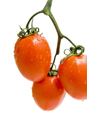 Similar image 570833