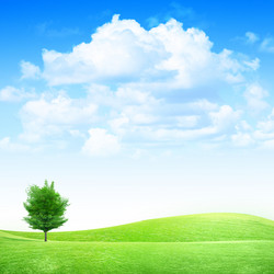 Similar image 570844