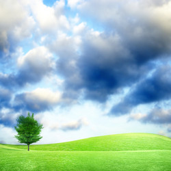 Similar image 570847