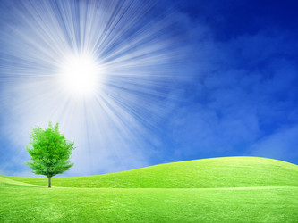 Similar image 570848