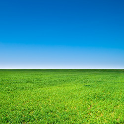 Similar image 570889