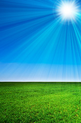 Similar image 570894