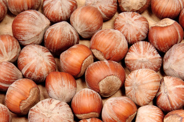 Similar image 570899