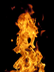 Similar image 570946