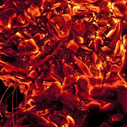 Similar image 570948