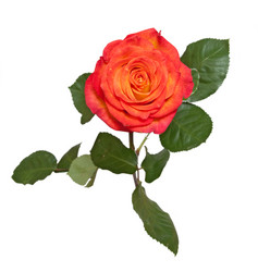 Similar image 570951