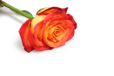 Similar image 570952