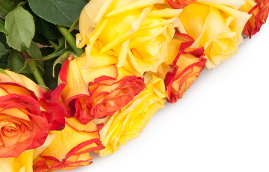 Similar image 570961