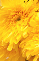 Similar image 570965