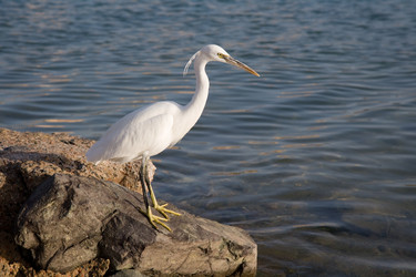 Similar image 570974