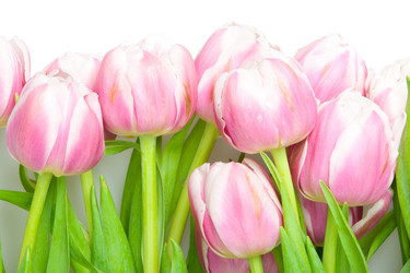 Similar image 570984