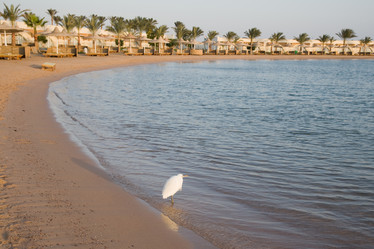 Similar image 570986