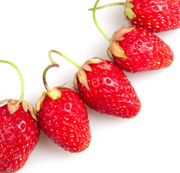 Similar image 570997