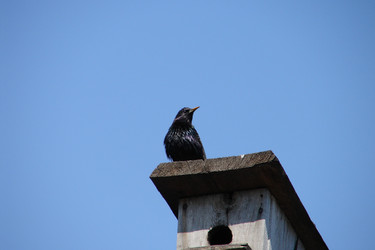 Similar image 571051