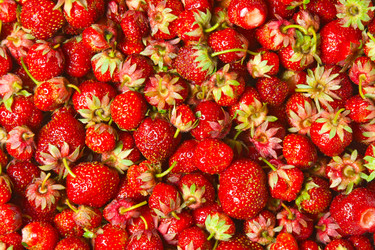 Similar image 571081