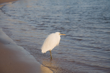 Similar image 571126