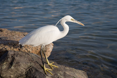 Similar image 571132