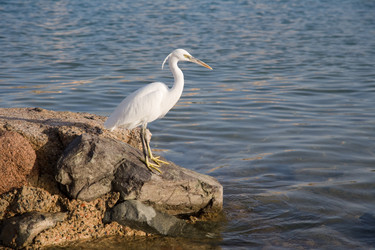 Similar image 571133