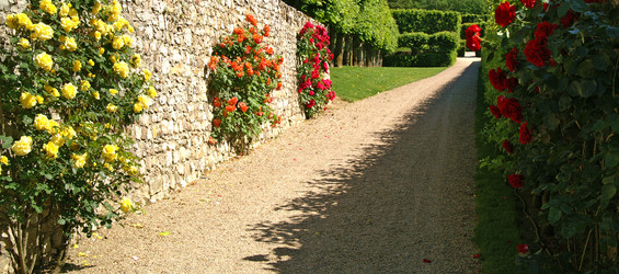 Similar image 571138