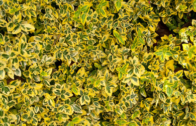 Similar image 571171