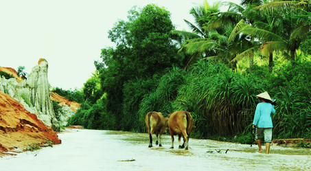 Similar image 571331