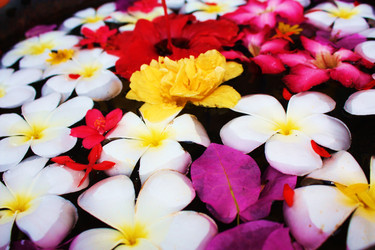 Similar image 571352