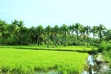 Similar image 571375