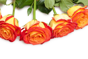 Similar image 571469