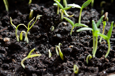 Similar image 571478