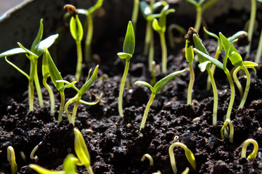 Similar image 571485