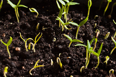 Similar image 571489