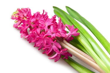 Similar image 571490