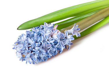 Similar image 571492