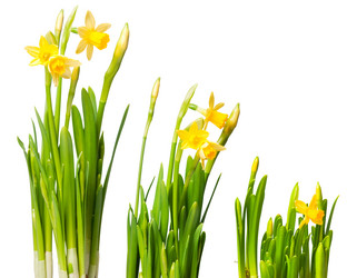 Similar image 571517