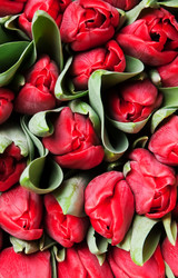 Similar image 571534