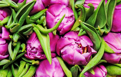 Similar image 571535