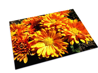 Similar image 571592