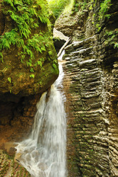 Similar image 571696