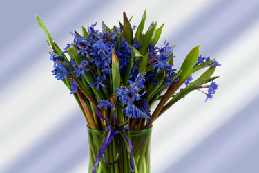 Similar image 571705