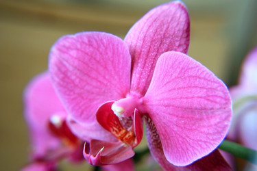 Similar image 571706