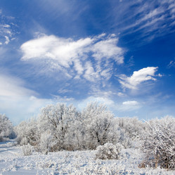 Similar image 571724