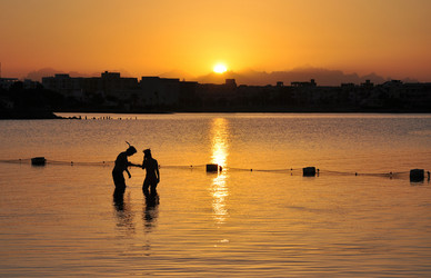 Similar image 571744