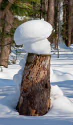 Similar image 571760