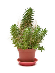 Similar image 571956