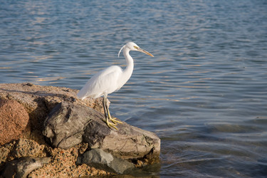 Similar image 572052