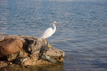 Similar image 572053