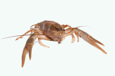 Similar image 572075