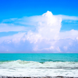 Similar image 572117