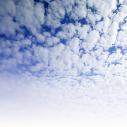 Similar image 572267